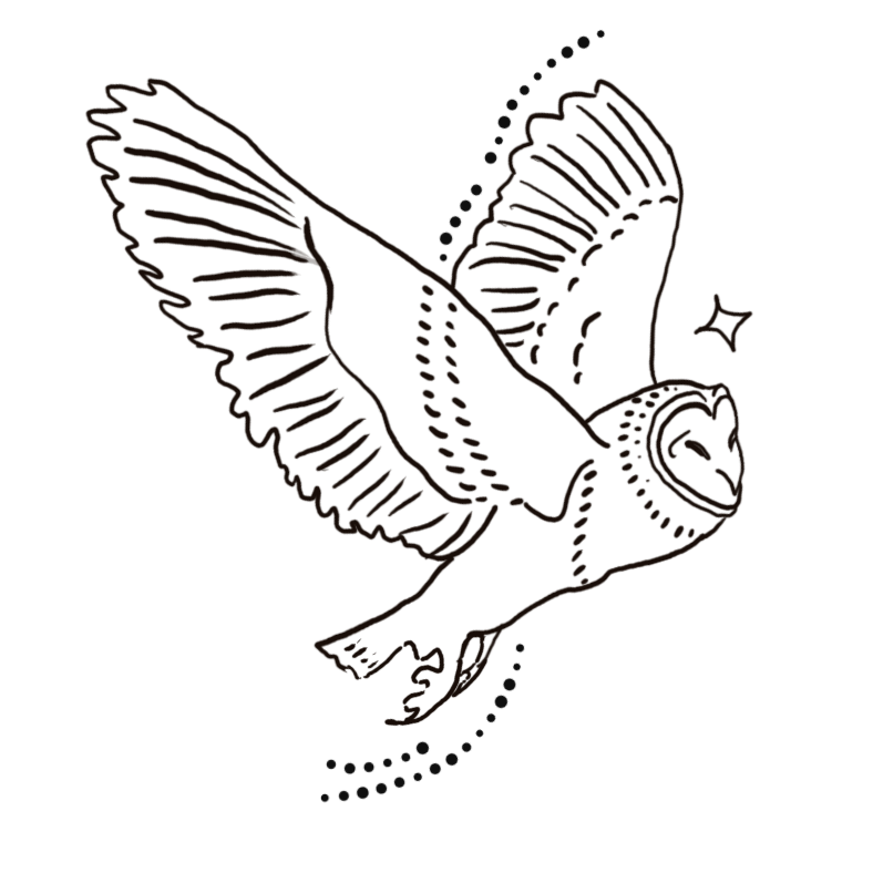 owl